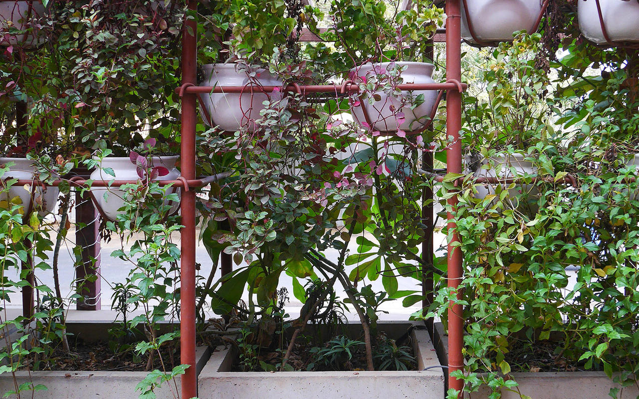 Garden Screen Restaurant